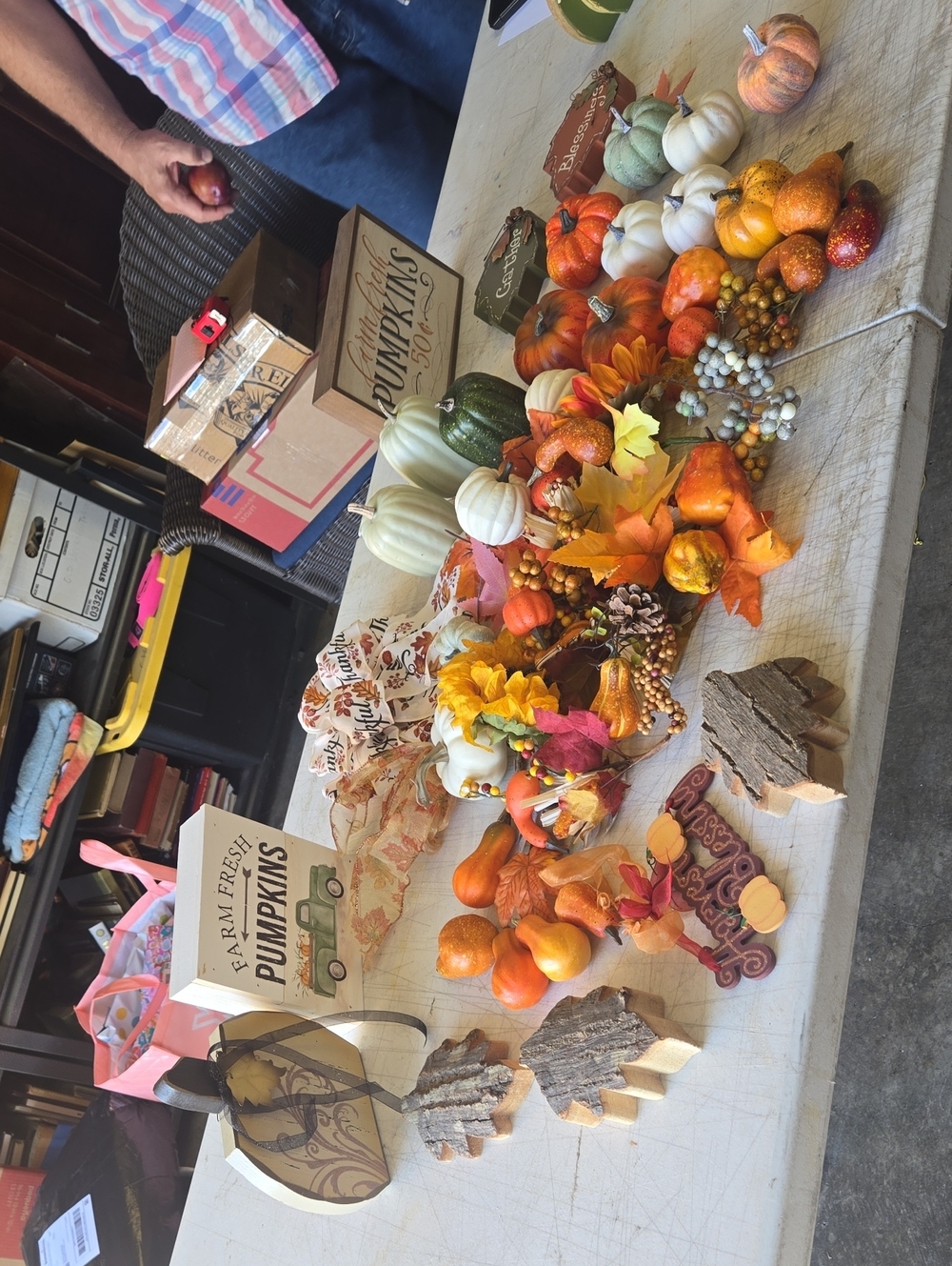 Hobby Lobby Fall Pumpkin and Gourd Assortment - Orange, White, Green